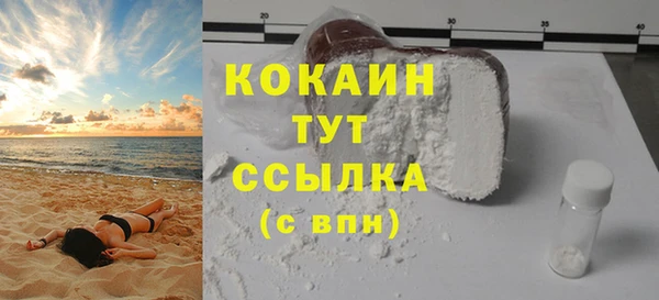 тгк Дмитров