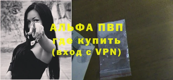тгк Дмитров