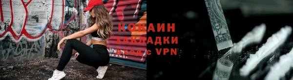 тгк Дмитров