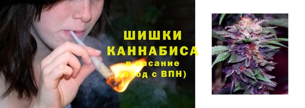 тгк Дмитров