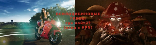 кристаллы Дмитриев