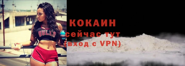 тгк Дмитров