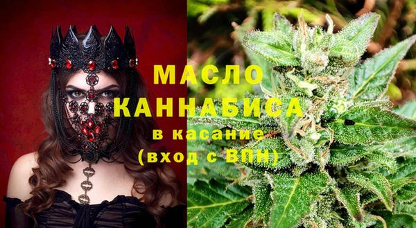 тгк Дмитров