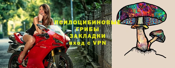тгк Дмитров